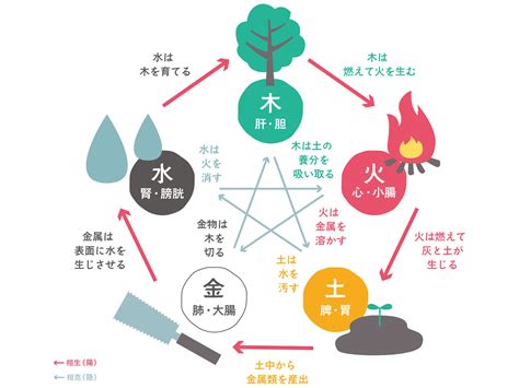 五行分類表|五行の分類表